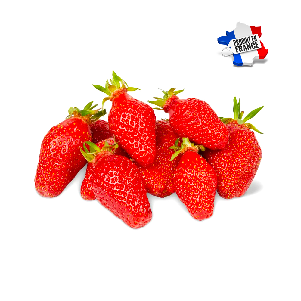 Fraise Gariguette Saveol