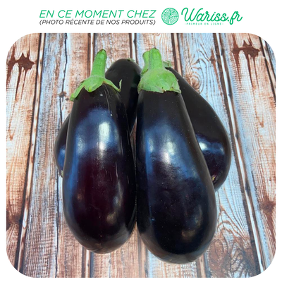 Aubergine