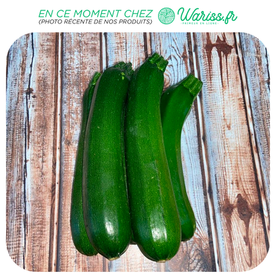 Courgette verte