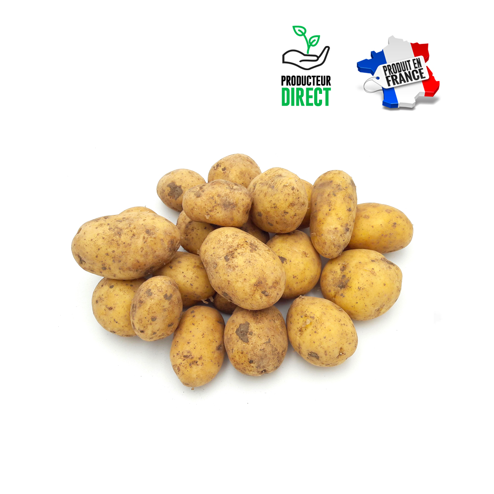 Pomme de terre MonaLisa (frites,purée)