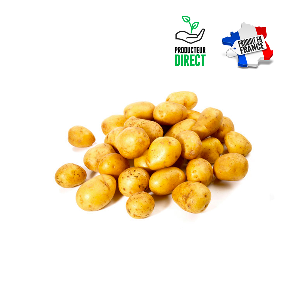 Pomme de terre Grenaille